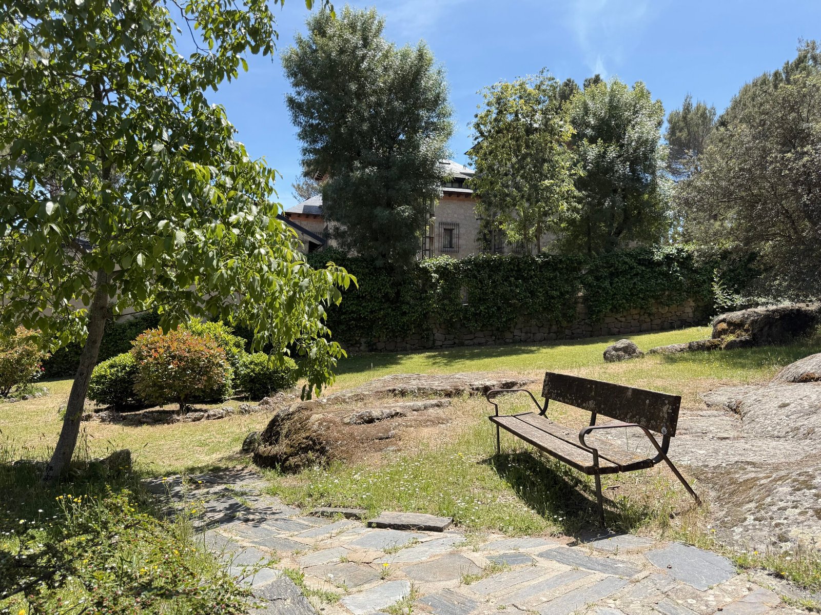 image00003