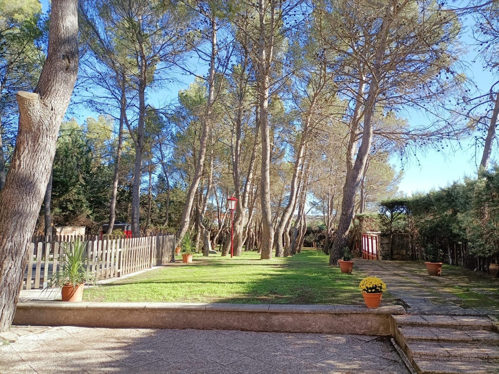 foto42