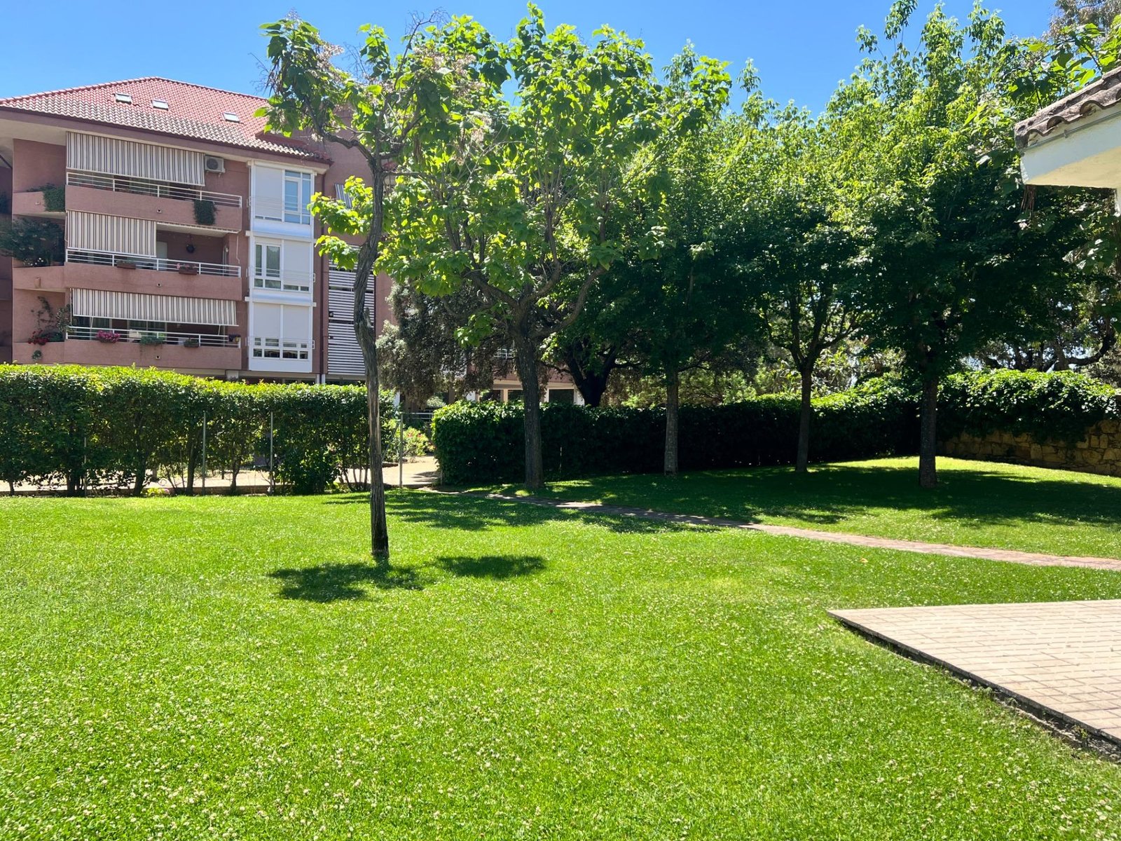 foto40