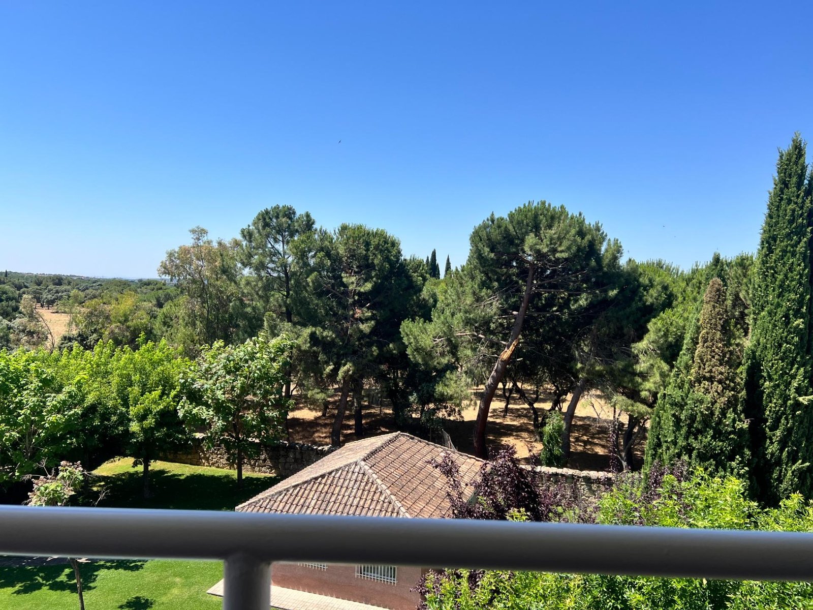 foto5