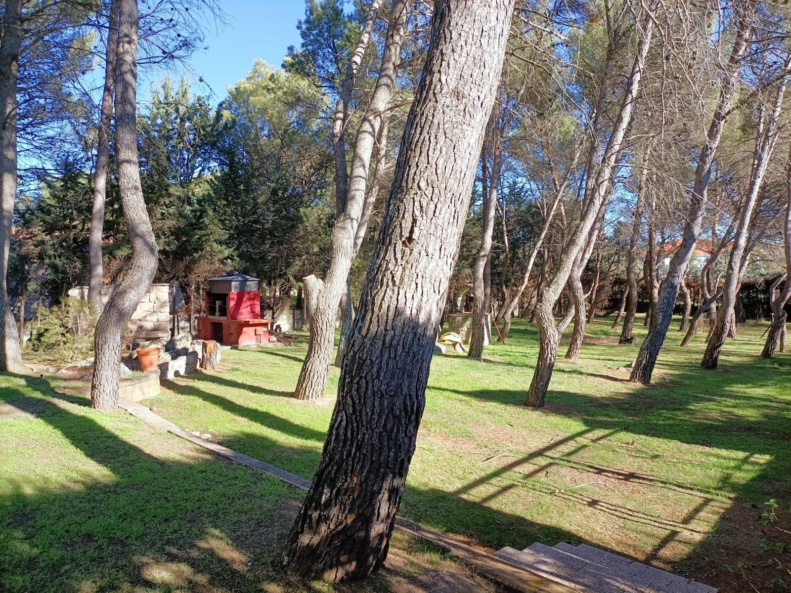 foto5