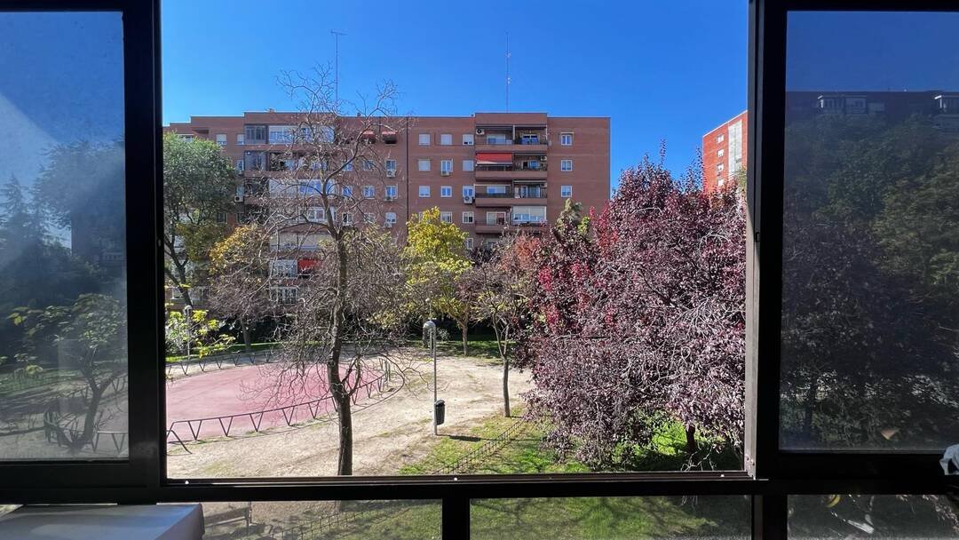 vistas1_0471155001792147763